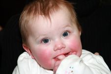 Enlarge photo 103