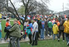 Enlarge photo 72