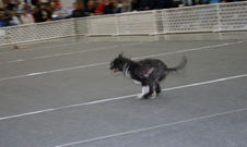 Enlarge photo 124