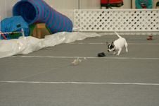 Enlarge photo 127