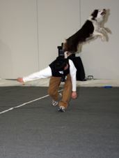Enlarge photo 18