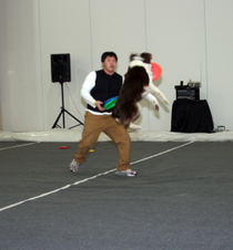 Enlarge photo 17