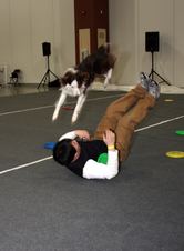 Enlarge photo 24