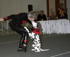 Enlarge photo 29