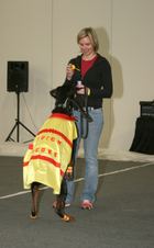 Enlarge photo 33