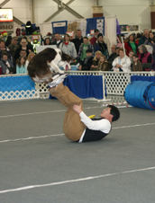 Enlarge photo 22