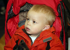 Enlarge photo 230