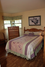 Enlarge photo 41
