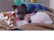 Enlarge photo 14