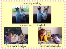 Enlarge photo 19