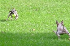 Enlarge photo 41
