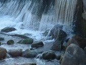 Enlarge photo 39