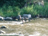 Enlarge photo 41