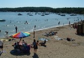 Enlarge photo 57