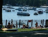 Enlarge photo 59
