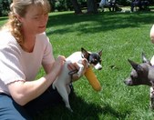 Enlarge photo 49