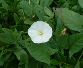 Enlarge photo 18