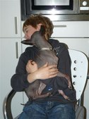 Enlarge photo 6