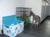 Enlarge photo 12