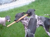 Enlarge photo 12