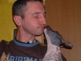 Enlarge photo 10