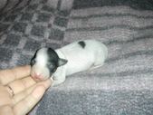 Enlarge photo 5