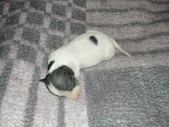 Enlarge photo 8
