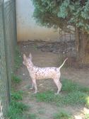 Enlarge photo 16