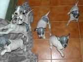 Enlarge photo 11