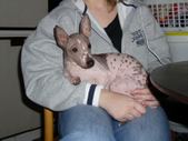 Enlarge photo 6