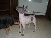 Enlarge photo 12