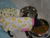 Enlarge photo 38
