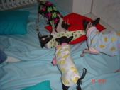 Enlarge photo 40