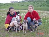 Enlarge photo 95