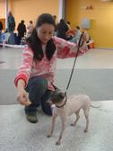 Enlarge photo 8
