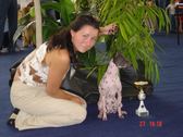 Enlarge photo 99