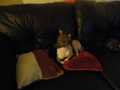 Enlarge photo 11