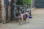 Enlarge photo 18