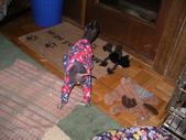 Enlarge photo 19