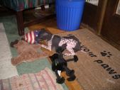 Enlarge photo 17