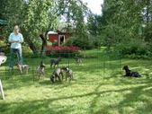 Enlarge photo 22