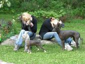 Enlarge photo 10