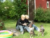 Enlarge photo 15