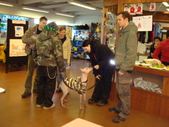 Enlarge photo 37