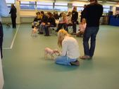 AHT Specialties Finland 08