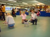 Enlarge photo 70