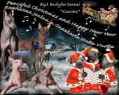 Enlarge photo 17