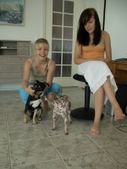 Enlarge photo 2