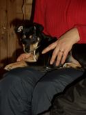 Enlarge photo 11