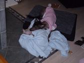Enlarge photo 13